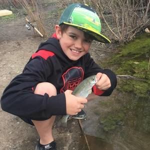 Meet your Posher, Bob